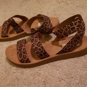 Steve Madden Leopard Print Sandals
